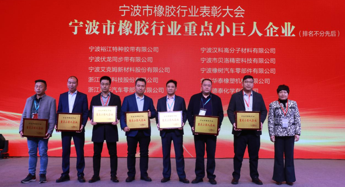 喜報 - 貝洛榮獲“寧波市橡膠行業(yè)優(yōu)秀企業(yè)家”、“寧波市橡膠行業(yè)誠信企業(yè)”、“寧波市橡膠行業(yè)重點(diǎn)小巨人企業(yè)”獎項(xiàng)！